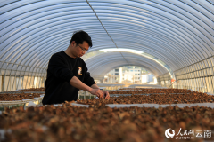 那挂满了公司这些年来所获得的荣誉