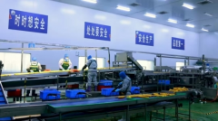 工人们身着同一的